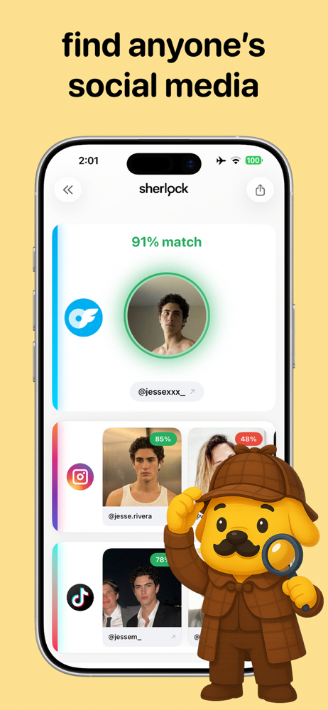 Face search results — find social media profiles by photo with match scores